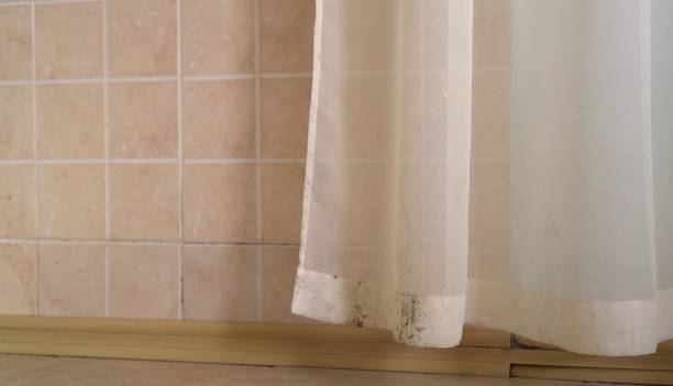 Best Mold Prevention Services  in Byram, CT
