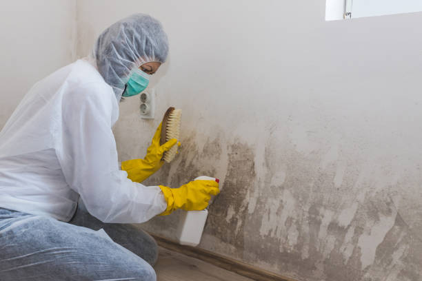 Best Residential Mold Inspection & Testing  in Byram, CT