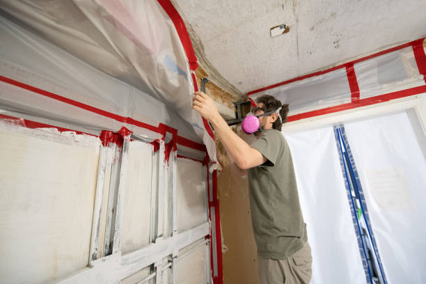 Best Crawl Space Mold Remediation  in Byram, CT
