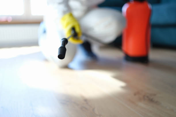 Best Mold Remediation for Healthcare Facilities  in Byram, CT
