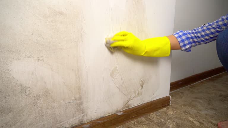 Best Biohazard Mold Removal  in Byram, CT