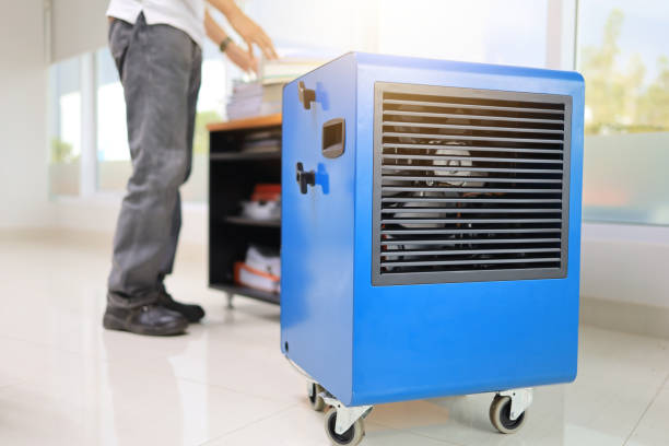Best Dehumidification Services  in Byram, CT