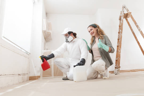 Best Black Mold Removal  in Byram, CT